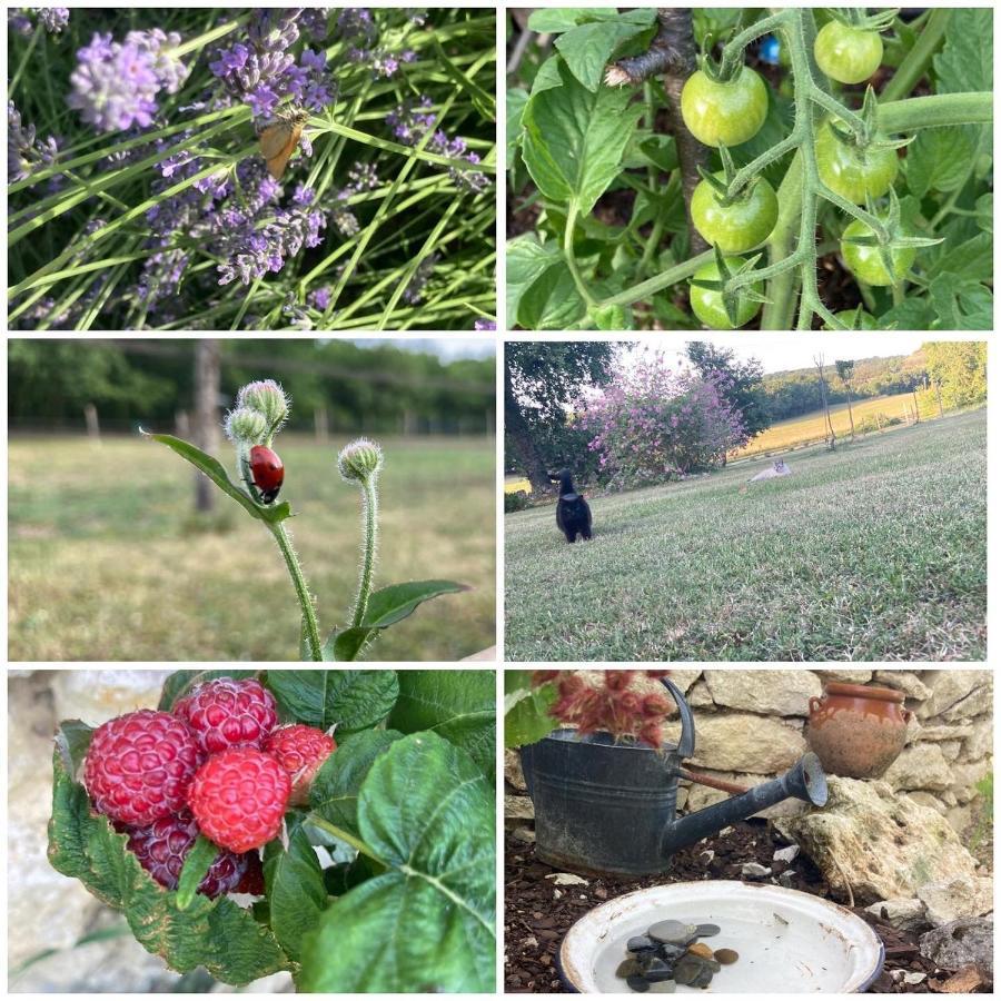 Les Fontanelles Du Quercy Blanc Villa Montcuq Eksteriør billede