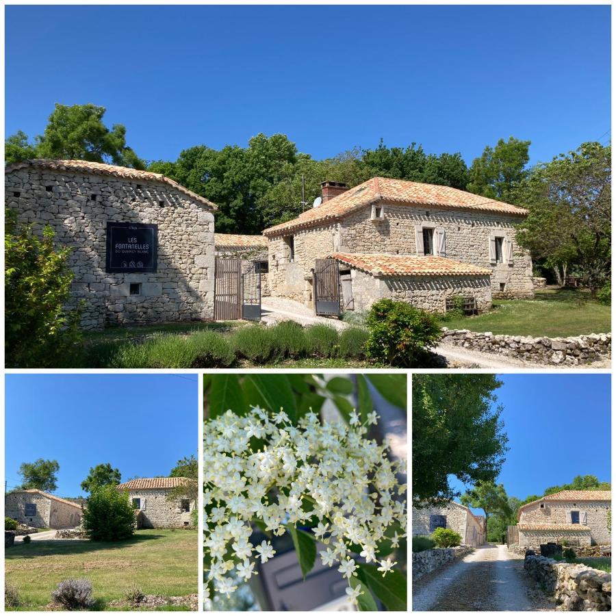 Les Fontanelles Du Quercy Blanc Villa Montcuq Eksteriør billede