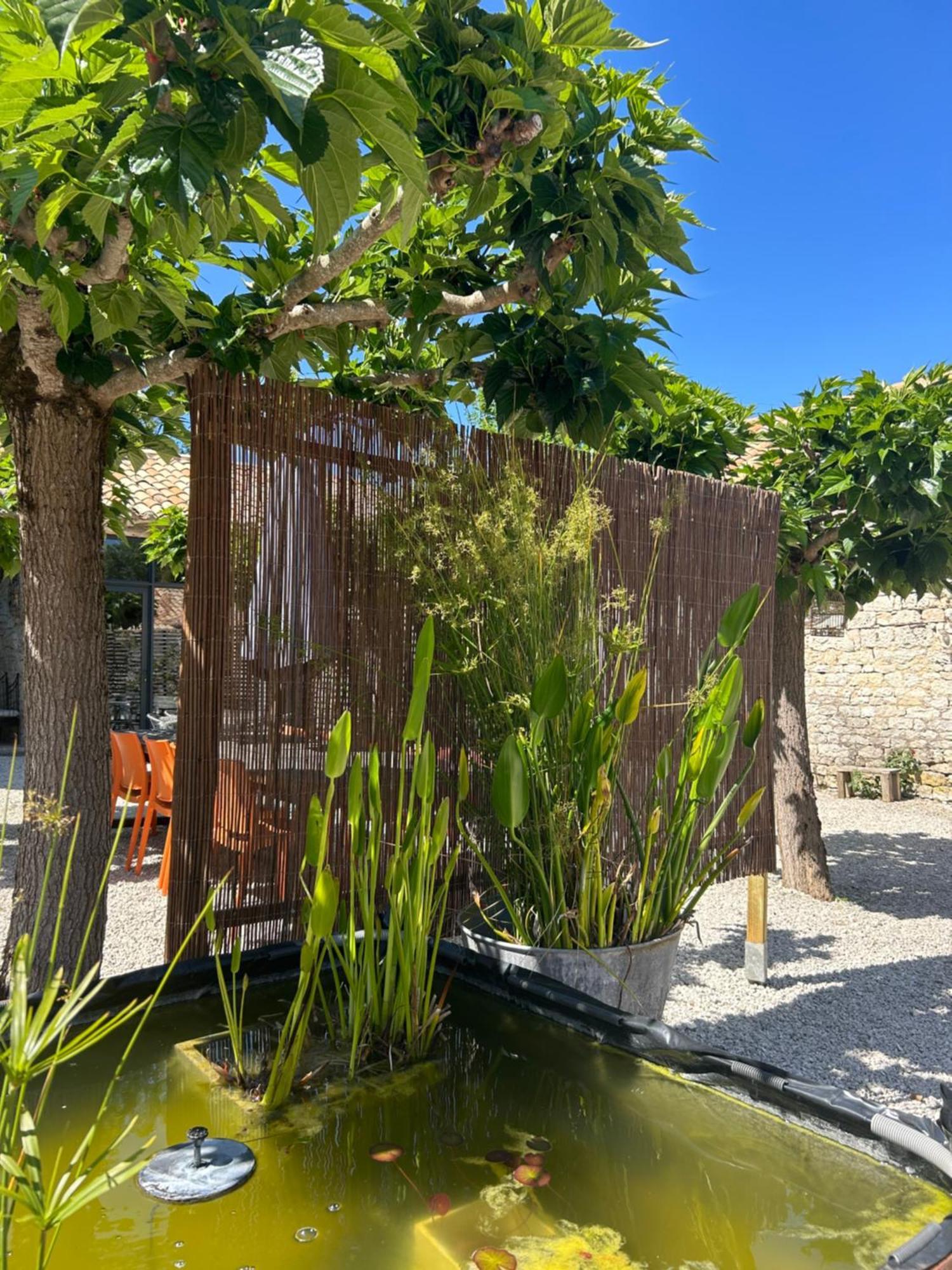 Les Fontanelles Du Quercy Blanc Villa Montcuq Eksteriør billede